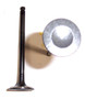 Exhaust Valve - 1997 Ford Probe 2.5L Engine Parts # EV455ZE5