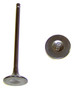 Exhaust Valve - 2007 Nissan Sentra 2.0L Engine Parts # EV635ZE18