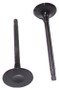 Exhaust Valve - 2016 Infiniti Q70L 3.7L Engine Parts # EV656ZE37