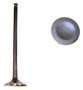 Exhaust Valve - 2001 Subaru Forester 2.5L Engine Parts # EV710ZE9
