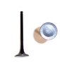 Exhaust Valve - 2006 Toyota Camry 3.0L Engine Parts # EV960ZE47
