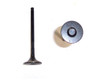 Exhaust Valve - 2001 Lexus LX470 4.7L Engine Parts # EV971ZE31