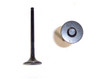 Exhaust Valve - 2003 Toyota 4Runner 4.7L Engine Parts # EV971ZE51
