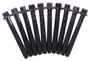 Head Bolt Kit - 1998 Ford Ranger 2.5L Engine Parts # HBK447ZE10