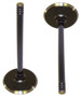 Intake Valve - 2005 Jeep Grand Cherokee 5.7L Engine Parts # IV1160ZE40