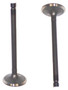 Intake Valve - 1994 Mitsubishi Montero 3.5L Engine Parts # IV126ZE34