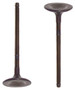 Intake Valve - 2008 Mitsubishi Eclipse 2.4L Engine Parts # IV162ZE3