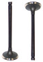 Intake Valve - 1990 Acura Legend 2.7L Engine Parts # IV209ZE6