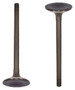 Intake Valve - 1993 Acura Integra 1.8L Engine Parts # IV212ZE4
