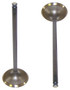 Intake Valve - 2004 Honda Accord 2.4L Engine Parts # IV216ZE18
