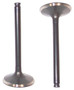 Intake Valve - 1995 Honda Prelude 2.2L Engine Parts # IV223ZE3