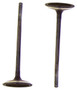 Intake Valve - 2013 Acura ILX 2.4L Engine Parts # IV242ZE1