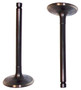 Intake Valve - 2001 Honda Accord 3.0L Engine Parts # IV245AZE20