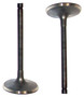 Intake Valve - 2002 Daewoo Lanos 1.6L Engine Parts # IV309ZE4