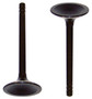 Intake Valve - 1990 Pontiac Firebird 3.1L Engine Parts # IV3114ZE57