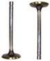 Intake Valve - 1993 Buick Century 3.3L Engine Parts # IV3116ZE2