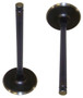 Intake Valve - 2004 GMC Sierra 1500 4.8L Engine Parts # IV3165ZE206