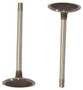 Intake Valve - 2006 Chevrolet Uplander 3.5L Engine Parts # IV320ZE9