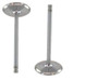 Intake Valve - 2009 Pontiac G8 6.2L Engine Parts # IV3215ZE16