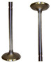 Intake Valve - 1995 Ford F-150 5.8L Engine Parts # IV4182ZE3