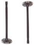Intake Valve - 1988 Chevrolet Sprint 1.0L Engine Parts # IV500ZE2
