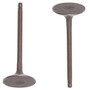 Intake Valve - 2003 Nissan Sentra 2.5L Engine Parts # IV638ZE21
