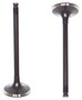Intake Valve - 1992 Nissan Sentra 1.6L Engine Parts # IV641ZE9