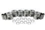 Piston Set - 2010 Dodge Ram 5500 6.7L Engine Parts # P1167ZE14