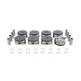 Piston Set - 2012 Ford F-150 6.2L Engine Parts # P4224ZE4