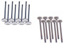 Exhaust and Intake Valve Kit - 1993 Acura Integra 1.7L Engine Parts # VK16217ZE2