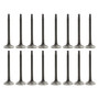 Exhaust and Intake Valve Kit - 2001 Nissan Altima 2.4L Engine Parts # VK16625ZE2