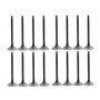 Exhaust and Intake Valve Kit - 2008 Nissan Sentra 2.5L Engine Parts # VK16657ZE15