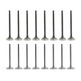 Exhaust and Intake Valve Kit - 2013 Nissan Sentra 1.8L Engine Parts # VK16674ZE1