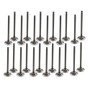 Exhaust and Intake Valve Kit - 1997 Isuzu Rodeo 3.2L Engine Parts # VK24350ZE11