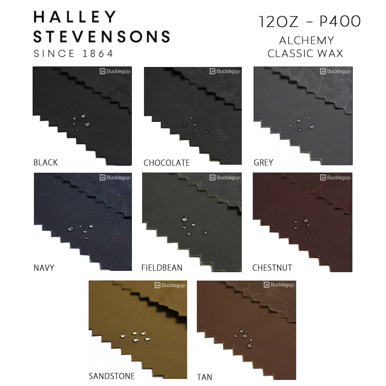 ALL
Halley Canvas