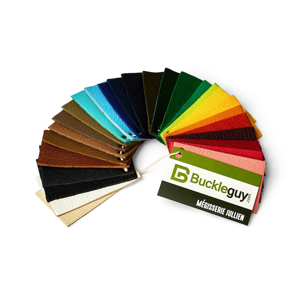 Megisserie Jullien Chevre Breteuil Leather Swatch Sample Book
