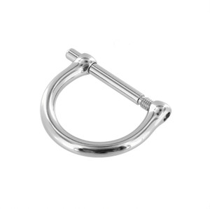 Nickel Plate D-Ring