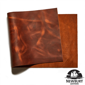 Newbury Leather Tortoise Panel - Copperhead