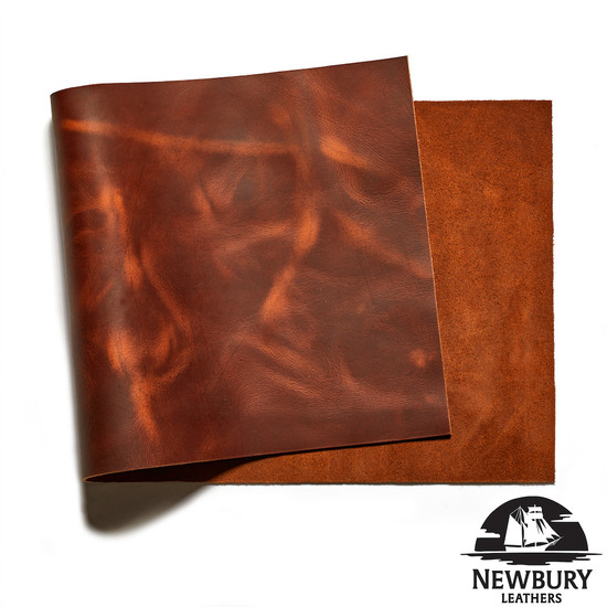 Newbury Leather Tortoise Panel - Copperhead