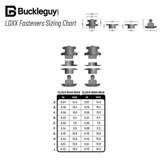 LOXX® Fastener Set, Antique Brass, Solid Brass - Buckleguy.com