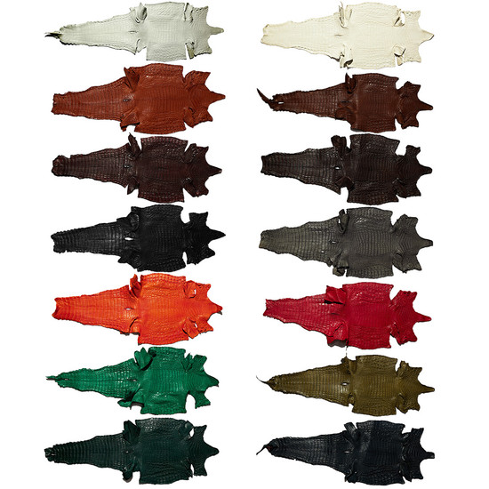 Color range of Caiman Crocodile Leather