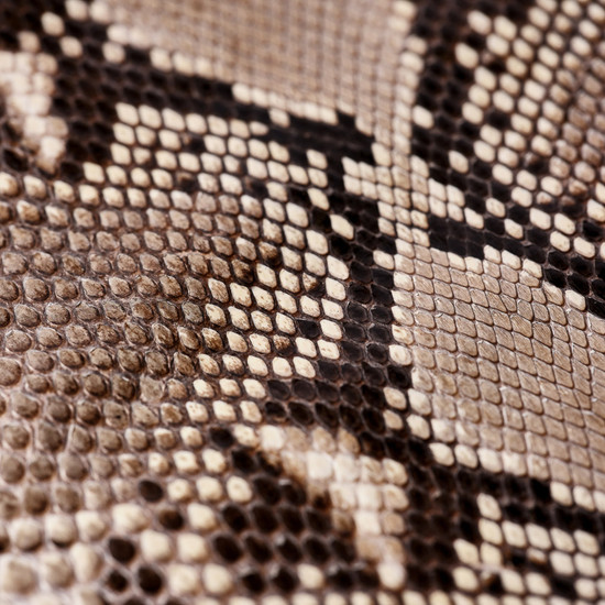 Natural exotic python leather skins