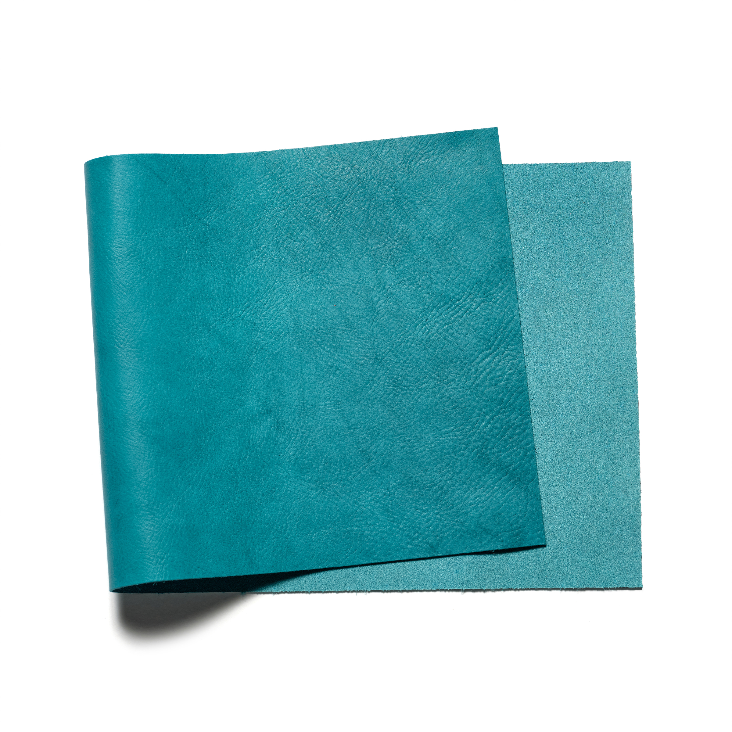 673-buckleguy-missouri-teal-31.jpg