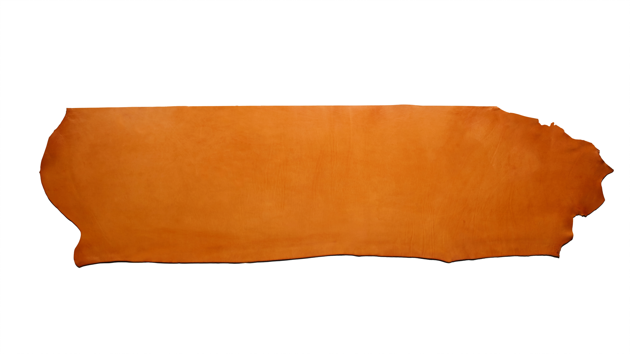 Hermann Oak, English Bridle Leather, Back, London Tan - Buckleguy.com