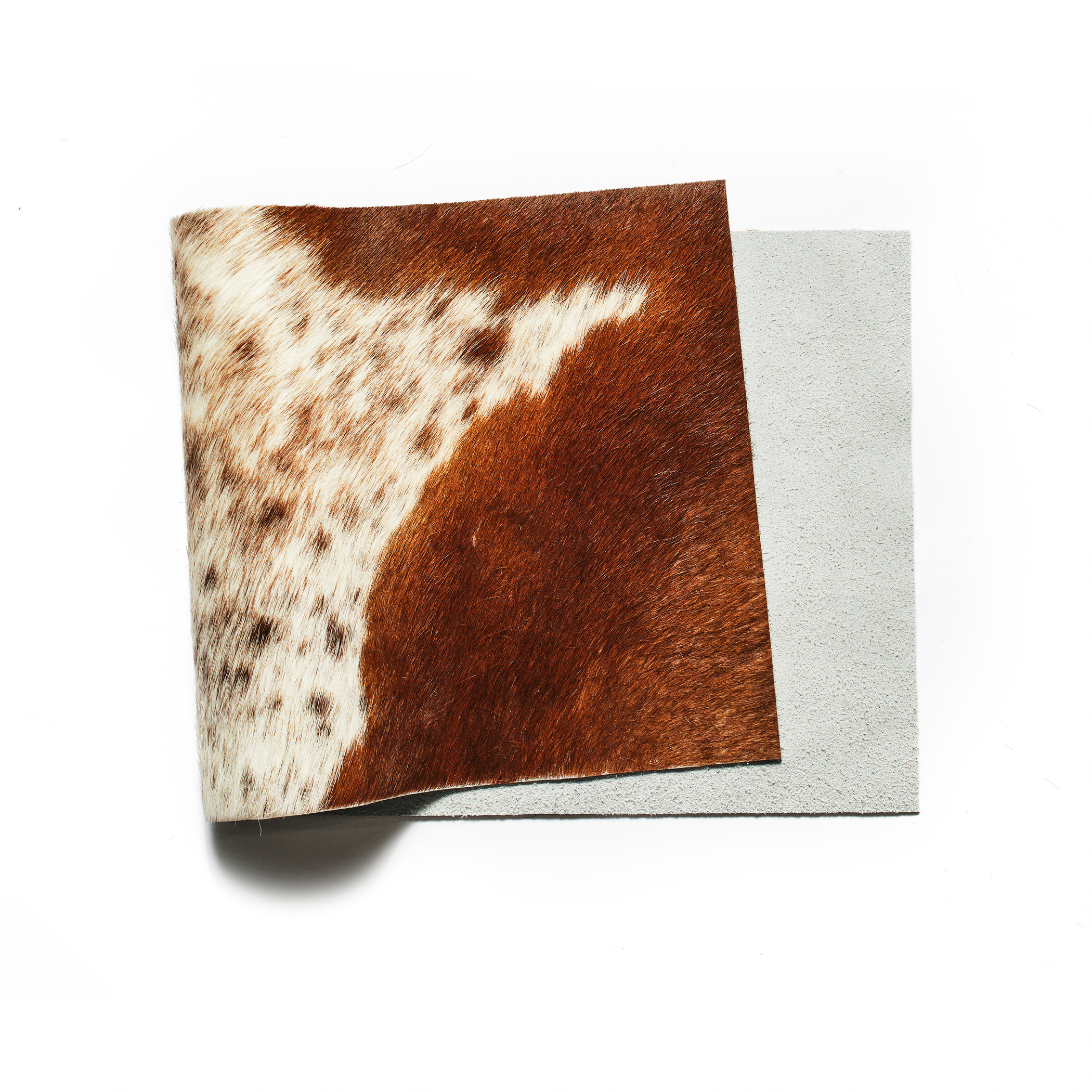 小物 _0.hide 1 of 1 Leather Grove Size:M hair-on-hide-leather-panel-