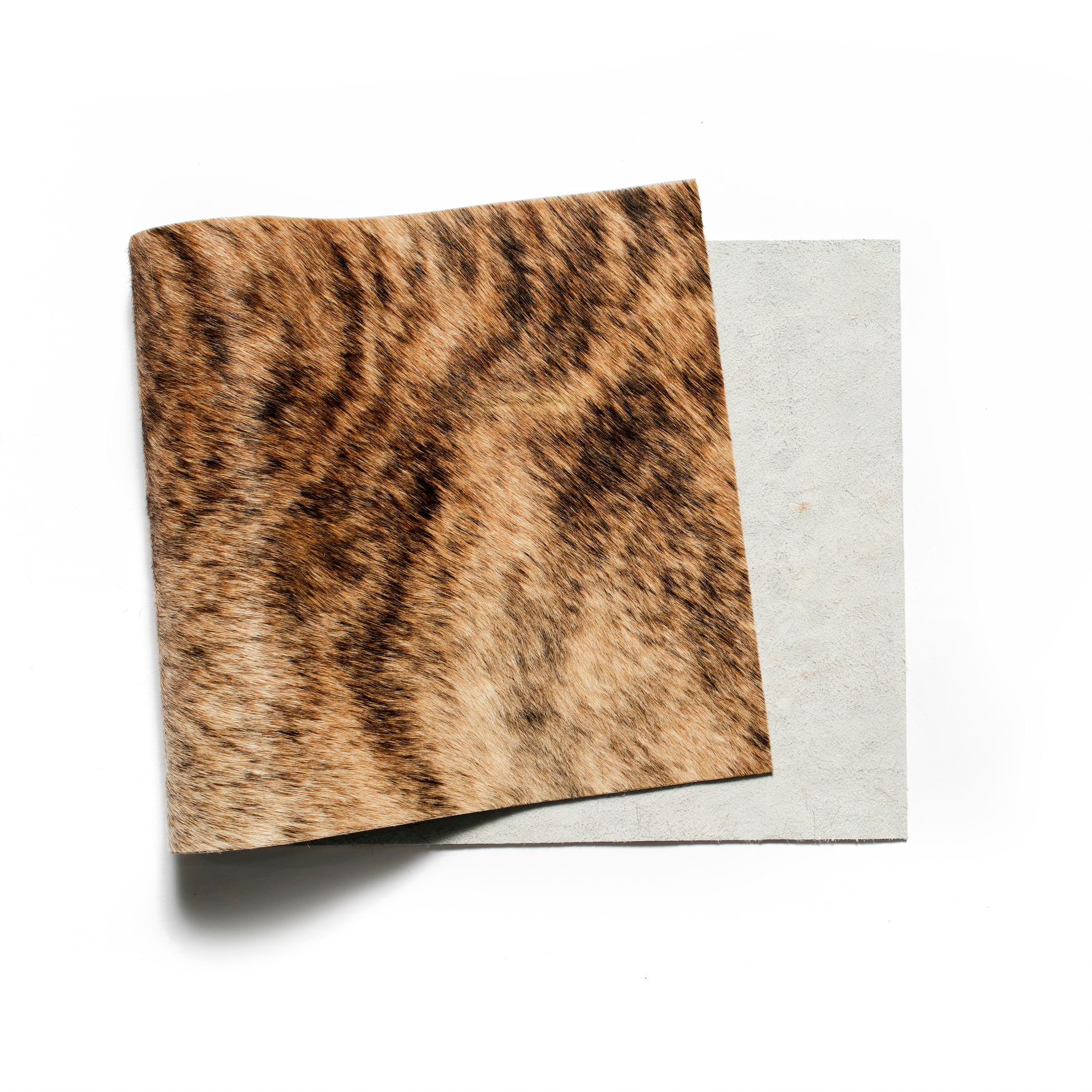 小物 hide Hair On Hide Leather, Panel, Exotic Light - Buckleguy.com