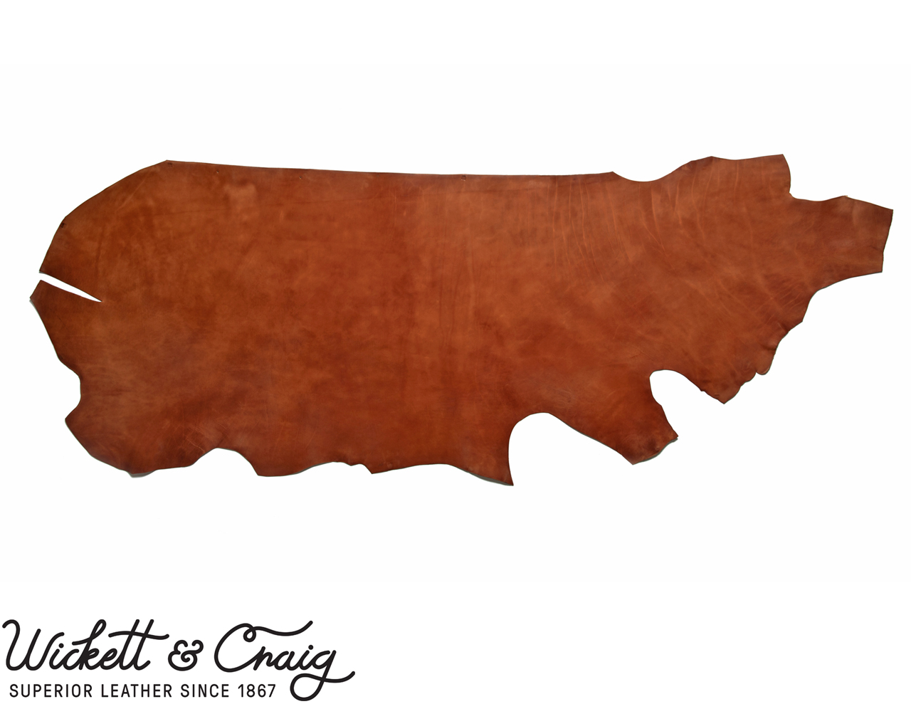 Wickett & Craig Traditional Harness Leather, Side, Buck