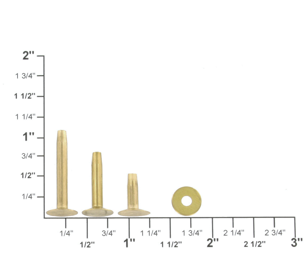 Tandy Leather #12 Brass Rivets & Burrs 1 (25 mm) 75/pk 11282-21