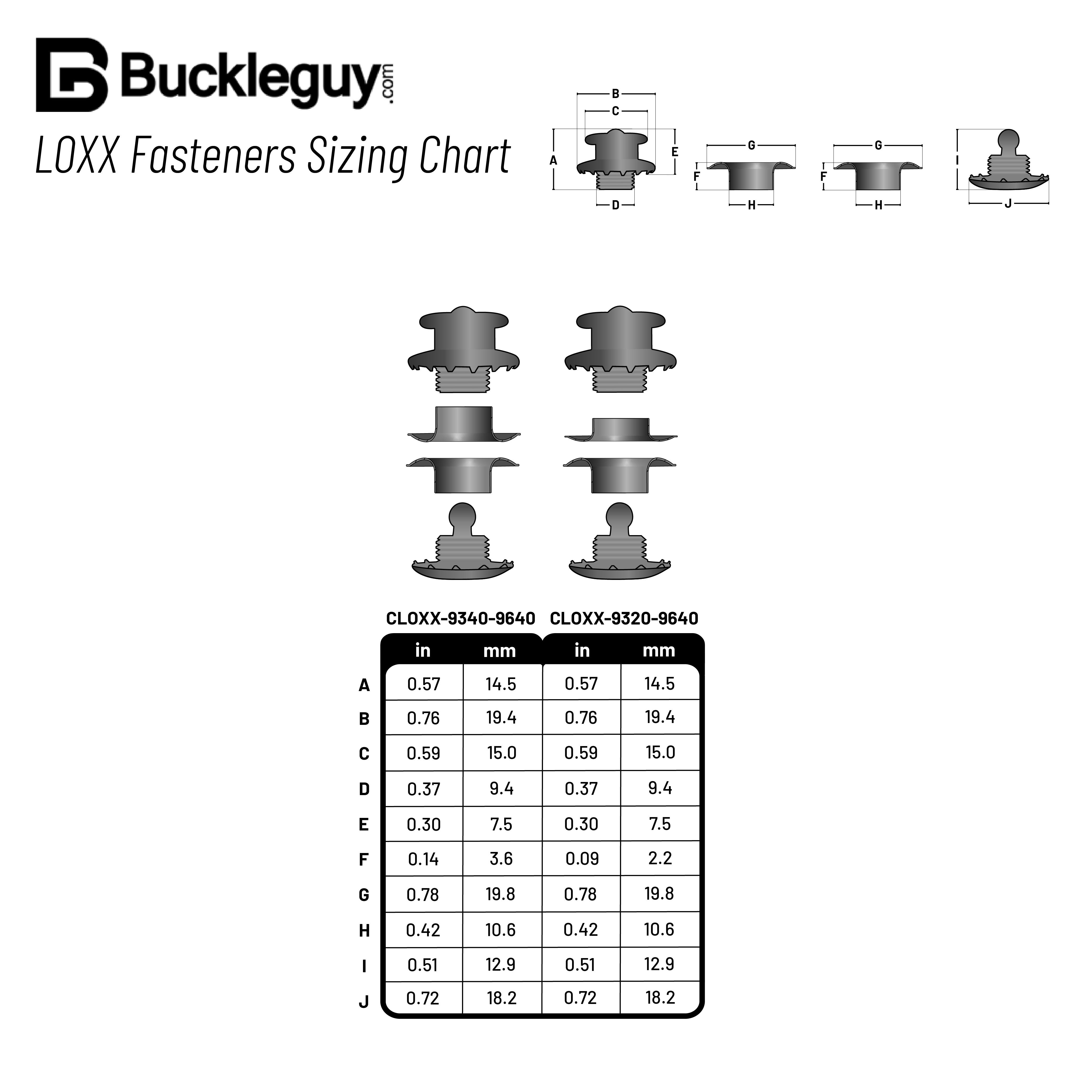 LOXX® Fastener Set, Polished Brass, Solid Brass - Buckleguy.com