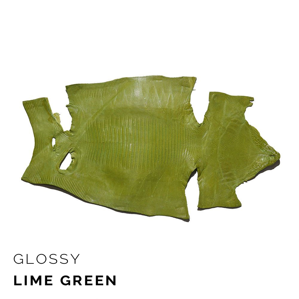 Teju Lizard Skin, Exotic Leather display picture 1